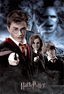 harry potter en de orde van de feniks