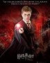 harry-potter-en-de-orde-van-de-feniks